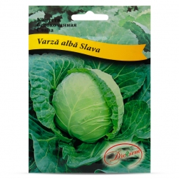 Image-product